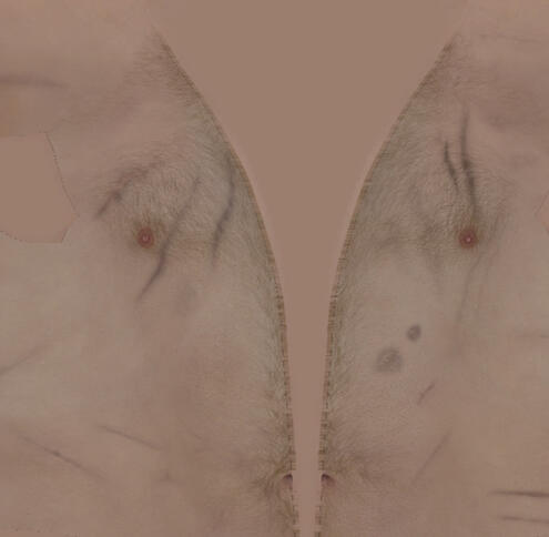 The body hair will now be the colour you want it to be in game.