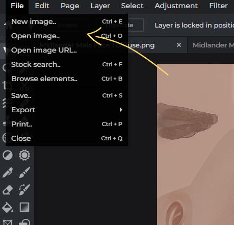 Click &#39;File&#39;, then &#39;Open Image...&#39;